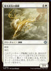 [Foil] TDM 029 Sunpearl Kirin U
