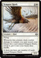 TDM 031 Tempest Hawk C