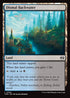 [Foil] TDM 254 Dismal Backwater C