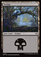 TDM 281 Swamp (0281) L