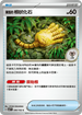 SV7F 090/102 陳舊的根狀化石 C