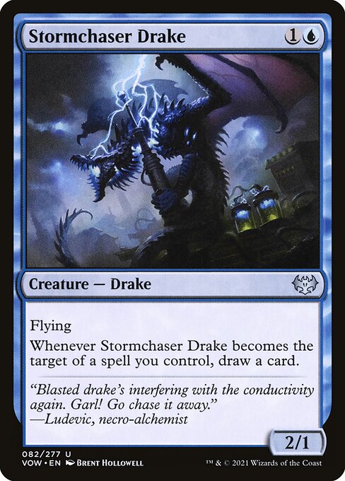 [Foil] VOW 082 Stormchaser Drake U
