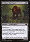 VOW 105 Diregraf Scavenger C
