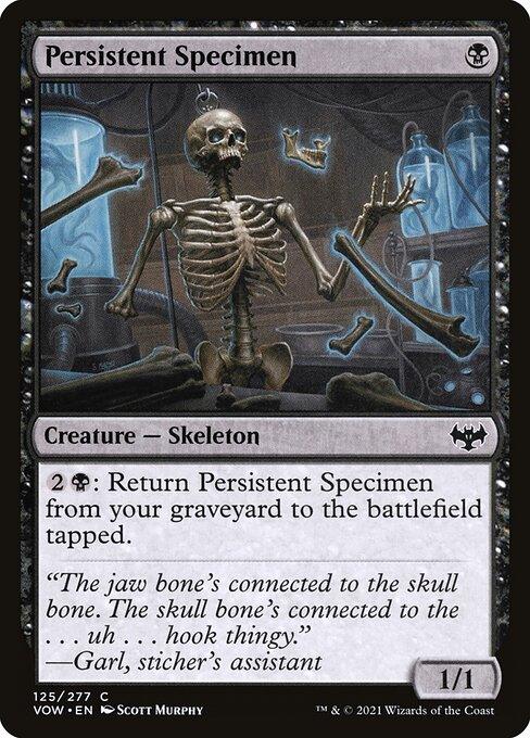 VOW 125 Persistent Specimen C