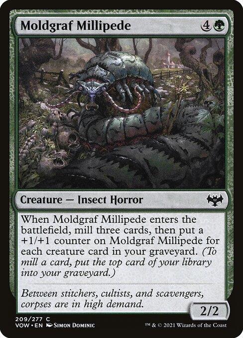 VOW 209 Moldgraf Millipede C