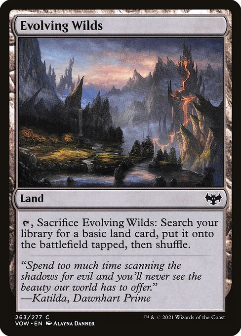 [Foil] VOW 263 Evolving Wilds C
