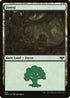 [Foil] VOW 402 Forest (402) L