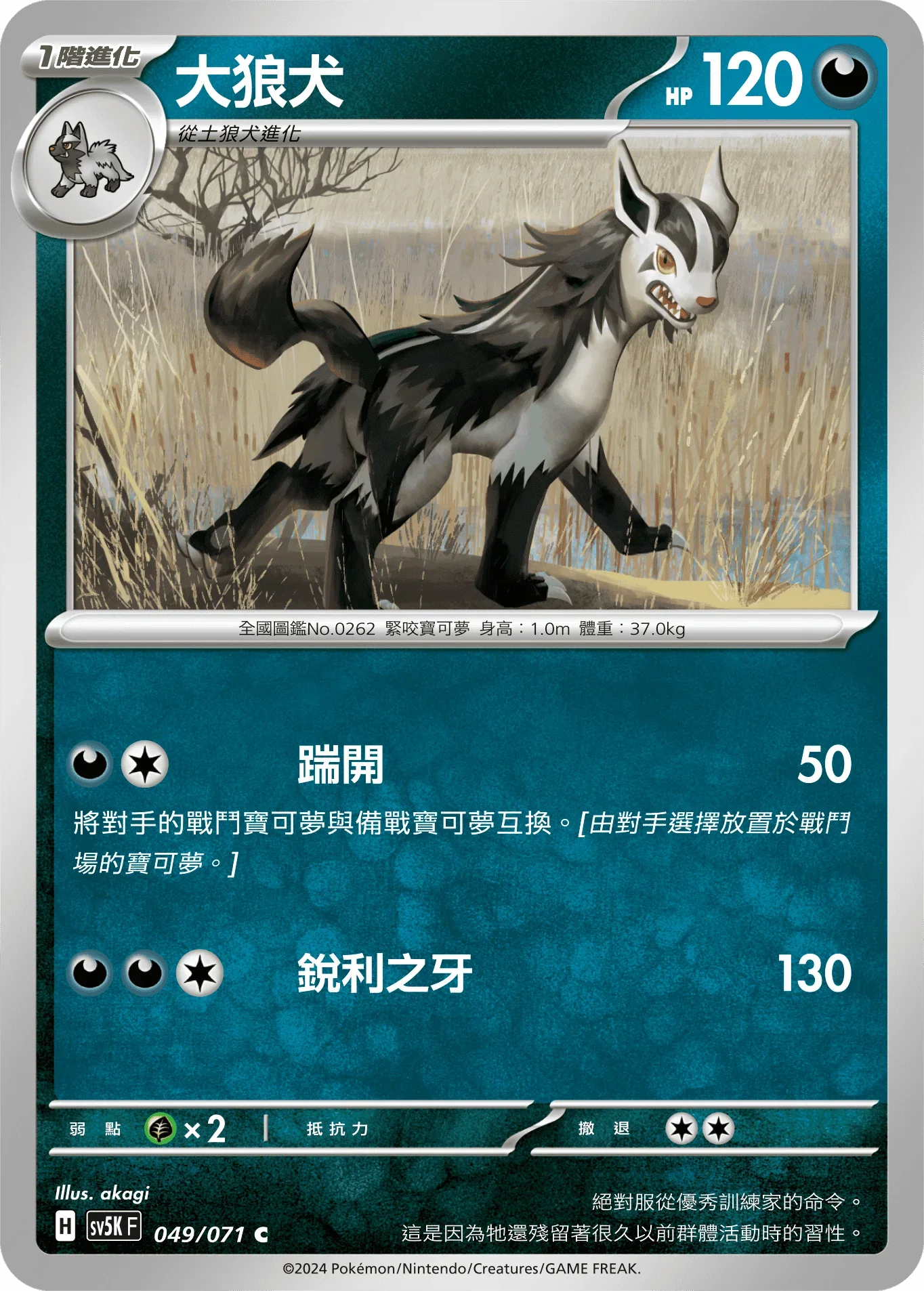 SV5KF 049/071 大狼犬 C