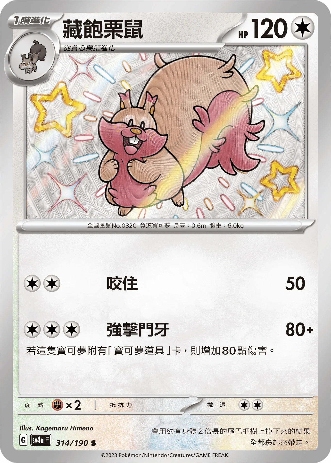 SV4aF 314/190 藏飽栗鼠 S