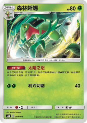 AC2D 004/176 森林蜥蜴