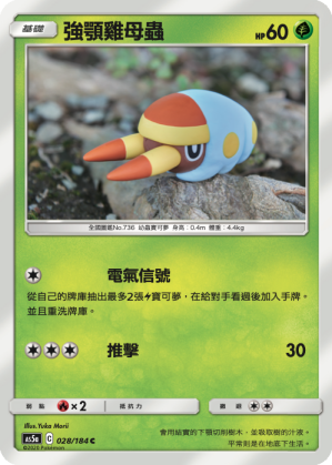 AS5a 028/184 強顎雞母蟲 C