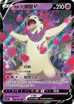 S9aF 028/067 洗翠火爆獸V RR
