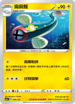 SCA 036/135 麻麻鰻