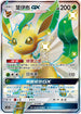 AC2a 218/200 葉伊布 GX SSR