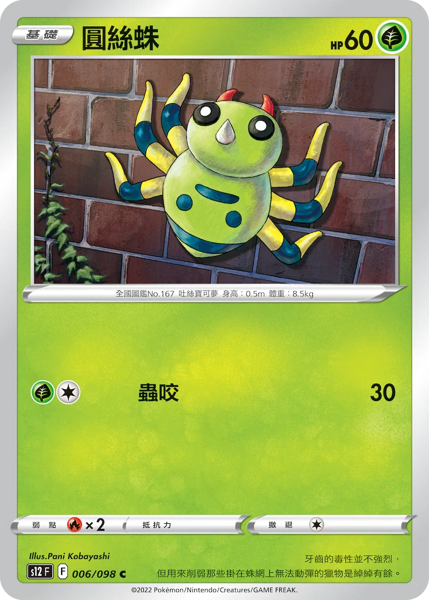 S12F 006/098 圓絲蛛 C