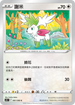 S12F 081/098 謝米 C