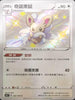 S4aF 293/190 奇諾栗鼠 S