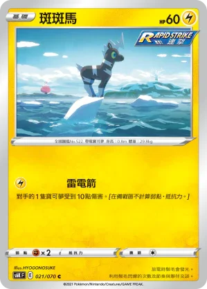 S6KF 021/070 斑斑馬 C