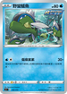 SIF 105/414 野蠻鱸魚