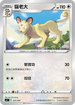 SIF 331/414 貓老大