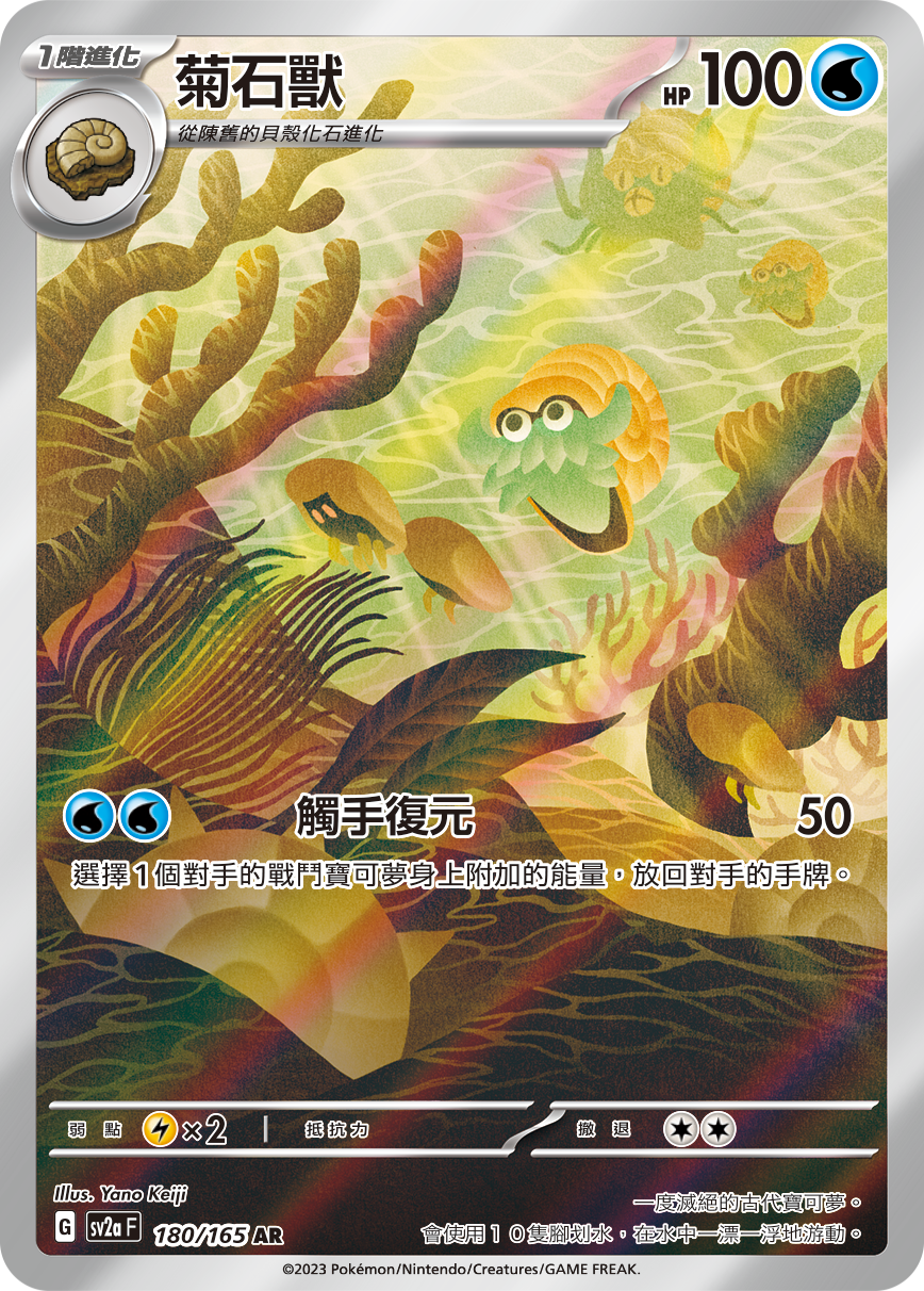 SV2aF 180/165 菊石獸 AR