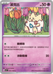 SV3F 043/108 波克比 C