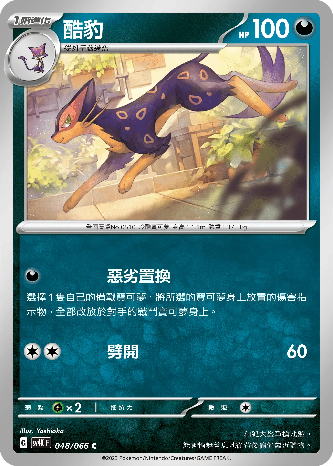 SV4KF 048/066 酷豹 C