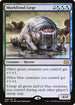 [Foil] 2X2 259 Murkfiend Liege R