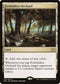 [Foil] 2X2 323 Forbidden Orchard R