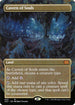 [Foil] 2X2 402 Cavern of Souls (Borderless) M