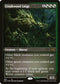 [Foil Etched] 2X2 482 Creakwood Liege (Foil Etched) R