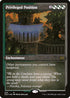 [Foil Etched] 2X2 532 Privileged Position (Foil Etched) R