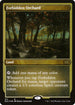 [Foil Etched] 2X2 571 Forbidden Orchard (Foil Etched) R