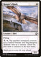 [Foil] AFR 037 Ranger's Hawk C