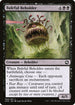 AFR 089 Baleful Beholder C