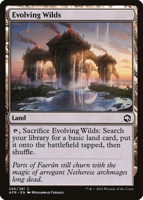 [Foil] AFR 256 Evolving Wilds C