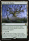 [Foil] AFR 259 Lair of the Hydra R