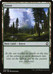 [Foil] AFR 278 Forest (2278) L