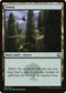 [Foil] AFR 281 Forest (2281) L