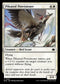 BLB 025 Pileated Provisioner C