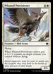BLB 025 Pileated Provisioner C