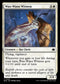 BLB 039 Wax-Wane Witness C