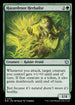 BLB 174 Hazardroot Herbalist U