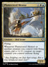 BLB 228 Plumecreed Mentor U