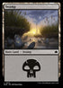 BLB 373 Swamp (0373) L
