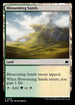 BLB 396 Blossoming Sands (Starter Kit) C