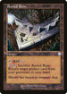 BRC 177 Buried Ruin