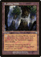 BRC 184 Evolving Wilds C