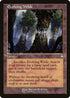 BRC 184 Evolving Wilds C
