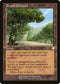 BRC 185 Exotic Orchard R